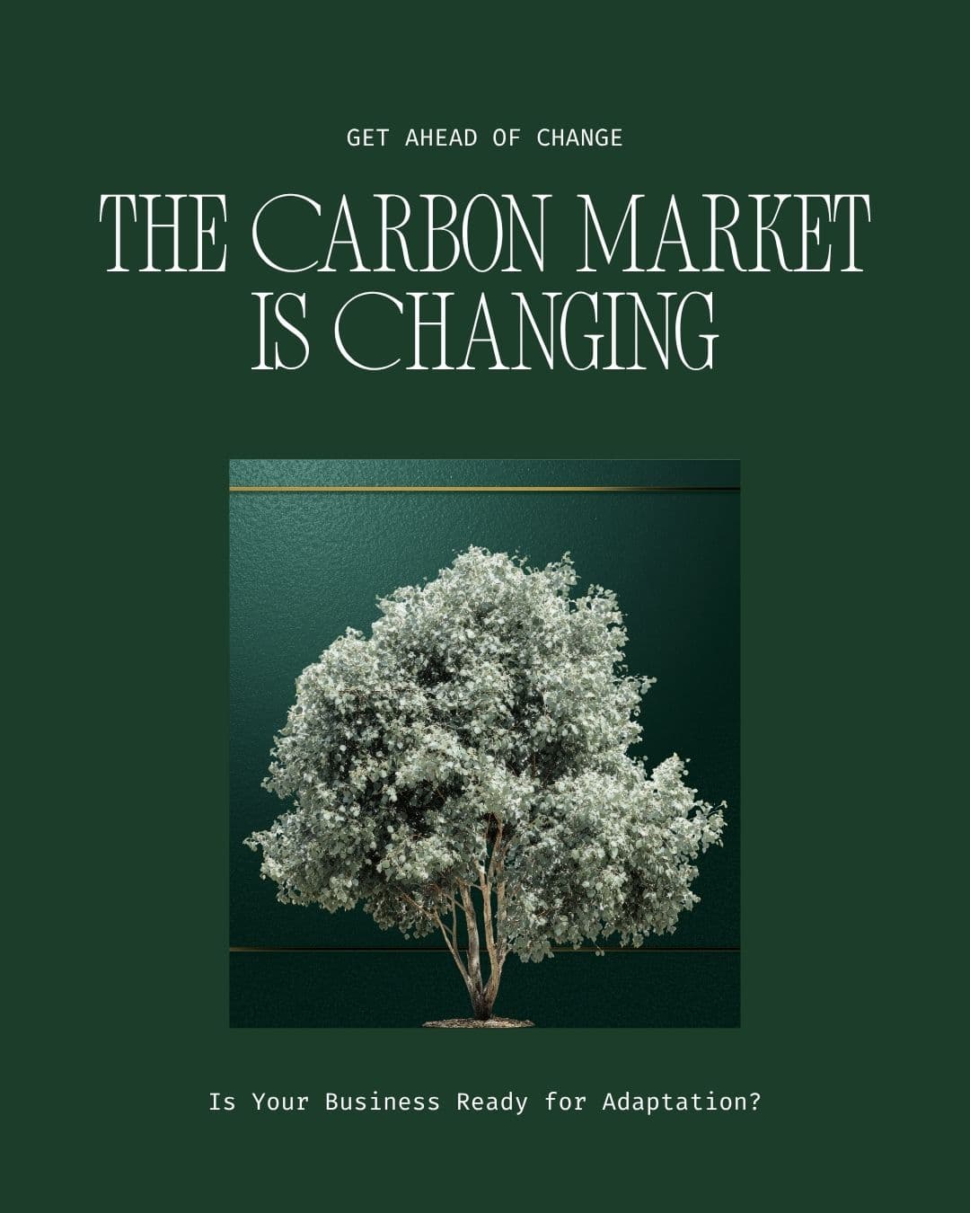 The Carbon Market Is Changing — What It Means for Small Businesses